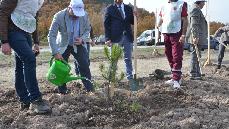 11 MİLYON FİDANIN 3000'İ EMET İLÇESİNDE TOPRAKLA BULUŞTU