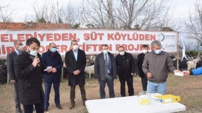 Projemiz Kapsamında 350 Adet Keçi Üreticilere Teslim Edildi