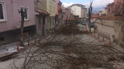 EMET BELEDİYEMİZ PARK VE BAHÇELER AMİRLİĞİMİZCE    AĞAÇ BUDAMA VE BAKIM EĞİTİM SERTİFİKALI UZMAN EKİPLERİMİZ KOORDİNESİNDE İLÇEMİZ GENELİNDEKİ AĞAÇLARIN BUDAMA VE BAKIM ÇALIŞMALARI GERÇEKLEŞTİRİLİYOR...