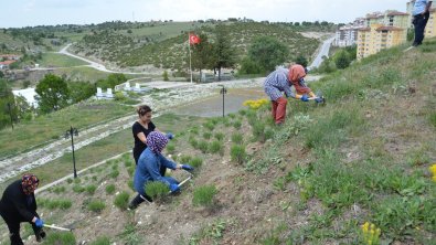 ŞELALE SOSYAL TESİSLERİMİZ ŞEHİTLİK MEVKİİNDE BAKIM VE TEMİZLİK ÇALIŞMALARI