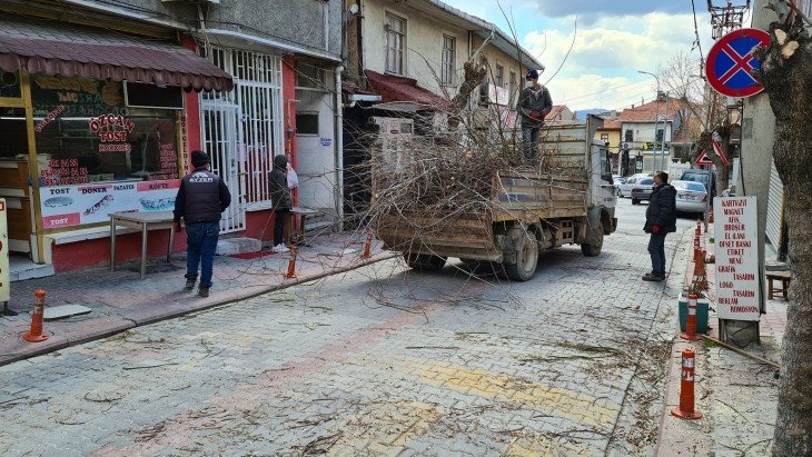 BELEDİYEMİZ EKİPLERİNCE ŞEHİR MERKEZİNDEKİ AĞAÇLARIN BUDAMA ÇALIŞMALARI YAPILIYOR...