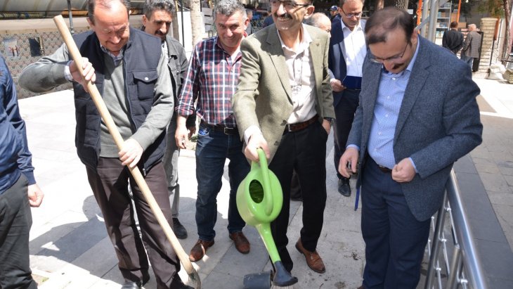 BURSA BÜYÜK ŞEHİR BELEDİYESİNDEN GELEN ASIRLIK İNKAYA ÇINARININ BİR FİDESİDE EMETİN TARİHİ CAMİİ OLAN BABUK BEY ÇARŞI CAMİ BAHÇESİNE BELEDİYE BAŞKANIMIZ HÜSEYİN DOĞAN TARAFINDAN DİKİLDİ...