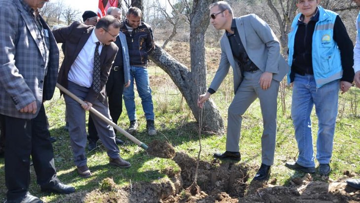 Emet Küreci Elmasını Geliştirme Adına Yeni Fidanlar Toprakla Buluştu