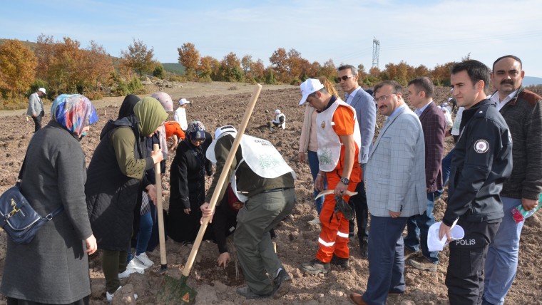 11 MİLYON FİDANIN 3000'İ EMET İLÇESİNDE TOPRAKLA BULUŞTU