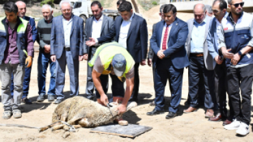 Emet'te bir hayal gerçek oluyor