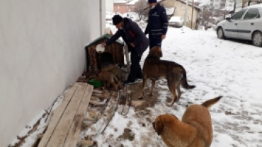 “Onlar Bize Yüce Rabbimizden  Birer Emanet”