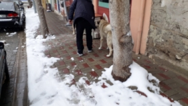 “Onlar Bize Yüce Rabbimizden  Birer Emanet”