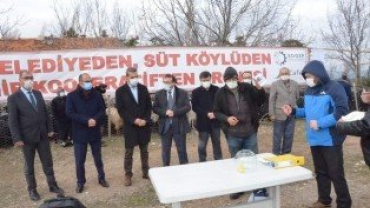 Projemiz Kapsamında 350 Adet Keçi Üreticilere Teslim Edildi