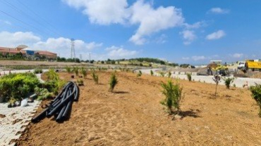 Emet Kavşağına 1.5 Milyon TL'lik Peyzaj Çalışması