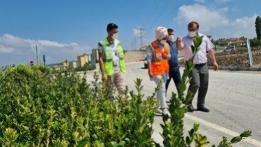 Emet Kavşağına 1.5 Milyon TL'lik Peyzaj Çalışması