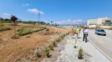 Emet Kavşağına 1.5 Milyon TL'lik Peyzaj Çalışması