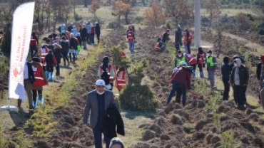 11 KASIM MİLLİ AĞAÇLANDIRMA GÜNÜNDE EMET İLÇESİNDE  FİDANLAR TOPRAKLA BULUŞUYOR...