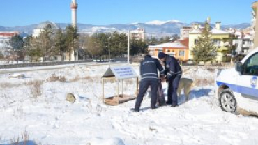 Soğuk Havalarda Kuşlar ve Sokak Dostlarımız Unutulmadı