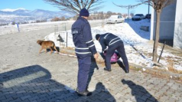 Soğuk Havalarda Kuşlar ve Sokak Dostlarımız Unutulmadı