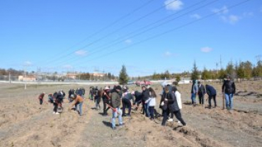 21 MART DÜNYA ORMANCILIK GÜNÜ VE HAFTASINDA FİDANLAR TOPRAKLA BULUŞUYOR...