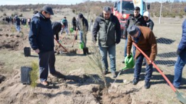 21 MART DÜNYA ORMANCILIK GÜNÜ VE HAFTASINDA FİDANLAR TOPRAKLA BULUŞUYOR...