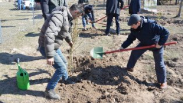 21 MART DÜNYA ORMANCILIK GÜNÜ VE HAFTASINDA FİDANLAR TOPRAKLA BULUŞUYOR...