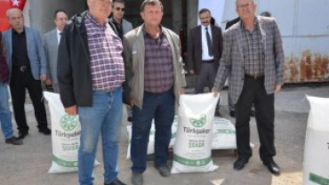 Emet'te Kayıtlı Arıcılara 6050 Kg Şeker Dağıtıldı