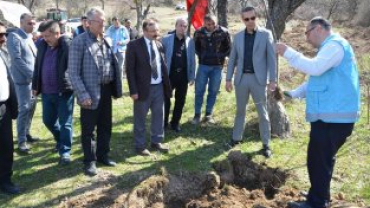 Emet Küreci Elmasını Geliştirme Adına Yeni Fidanlar Toprakla Buluştu