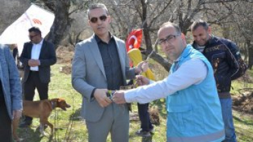 Emet Küreci Elmasını Geliştirme Adına Yeni Fidanlar Toprakla Buluştu