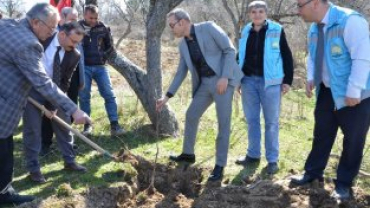 Emet Küreci Elmasını Geliştirme Adına Yeni Fidanlar Toprakla Buluştu