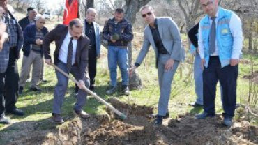 Emet Küreci Elmasını Geliştirme Adına Yeni Fidanlar Toprakla Buluştu