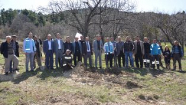 Emet Küreci Elmasını Geliştirme Adına Yeni Fidanlar Toprakla Buluştu
