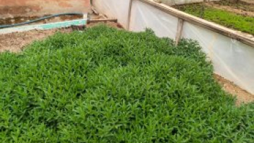 Başkanımızdan Vatandaşlarımıza ziyaretler devam ediyor