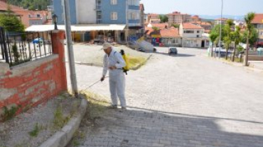 BELEDİYEMİZ SAHADA