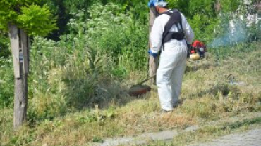 BELEDİYEMİZ SAHADA