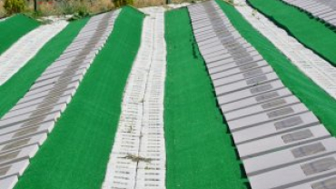 EMET BELEDİYESİNDEN KURBAN BAYRAMINA HAZIRLIK