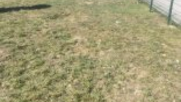 BELEDİYEMİZ PARK VE BAHÇE AMİRLİĞİMİZCE İLÇEMİZ GENELİ,PARK ,BAHÇE,REFLÜJ NOKTALARINDA ÇEVRE TEMİZLİĞİ VE OT TEMİZLEME ÇALIŞMALARI DEVAM EDİYOR...
