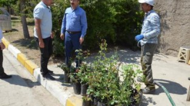 AREFE GÜNÜNDE BAŞKANIMIZDAN ŞEHİT MEZARLARIMIZA ZİYARET VE GÜL DAĞITIMI