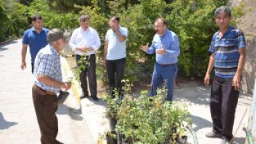 AREFE GÜNÜNDE BAŞKANIMIZDAN ŞEHİT MEZARLARIMIZA ZİYARET VE GÜL DAĞITIMI