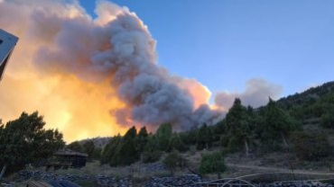 Ciğerlerimiz yanıyor, üzüntümüzün tarifi yok.