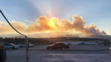 Ciğerlerimiz yanıyor, üzüntümüzün tarifi yok.