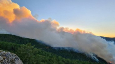 Ciğerlerimiz yanıyor, üzüntümüzün tarifi yok.