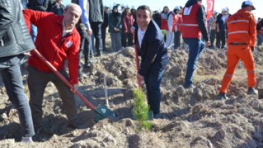 11 Kasım Fidan Dikim Gününde Emet'e 12 Bin Fidan