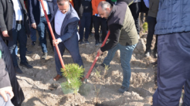 11 Kasım Fidan Dikim Gününde Emet'e 12 Bin Fidan