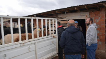 Belediye Projesinde İlk Geri Dönüşüm Oğlaklar Yeni Sahiplerine Teslim Edildi