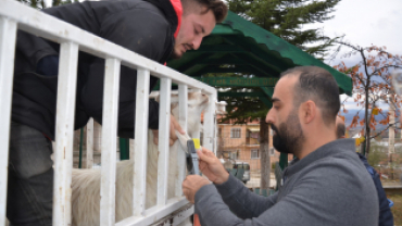 Belediye Projesinde İlk Geri Dönüşüm Oğlaklar Yeni Sahiplerine Teslim Edildi