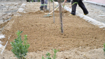 Türk Otağı ve Mesire Alanı'na Yeşil Dokunuş!