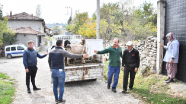 Keçi Peyniri Projesi ile Üretici Sayısını Artırıyor