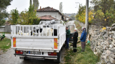 Keçi Peyniri Projesi ile Üretici Sayısını Artırıyor