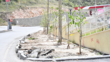 Daha Yeşil Bir Emet İçin Çalışmalar Sürüyor