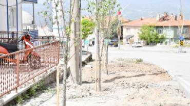 Daha Yeşil Bir Emet İçin Çalışmalar Sürüyor
