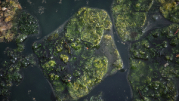 Başkan Koca: “Dünyada Sadece Japonya ve Emet’te Bulunan Yosunlu Havuzumuzu Yeniden Halkımıza Kazandırdık”