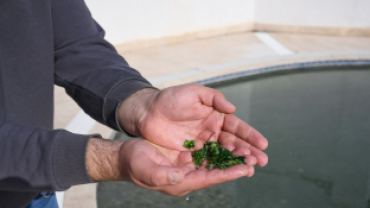 Başkan Koca: “Dünyada Sadece Japonya ve Emet’te Bulunan Yosunlu Havuzumuzu Yeniden Halkımıza Kazandırdık”