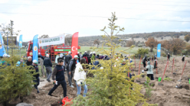 Milli Ağaçlandırma Günü’nde Emet’te 300 Fidan Toprakla Buluştu