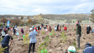 Milli Ağaçlandırma Günü’nde Emet’te 300 Fidan Toprakla Buluştu